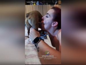 prohibited success: Iona and dog experience