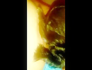 Puppy feeding: an intense experience