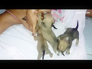 Puppy Milk 5 - Extreme Bestiality Sex Videos