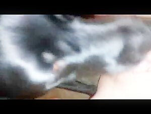 Puppyplaytime - A bestial and intense encounter