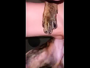 !Puta Sucia Se Already Abusar por Perros!