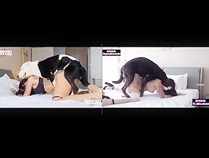 Raven and her dog - Part 1 & 2