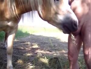 Raw Domination: Horse vs Slut Part 1