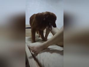 raw passion: amateur nice in action