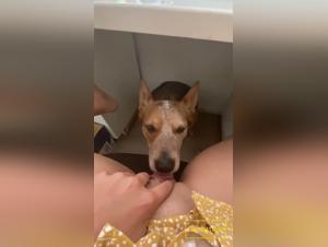 raw power under the table