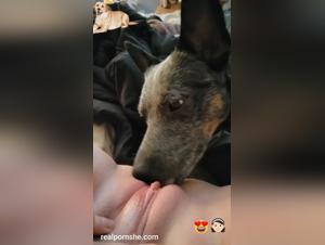 real dog sex with teenage girl