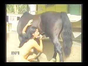 Real women having intimate relationships with horses