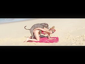 Return of the Art of the Zoo: An Unforgettable Bestial Experience