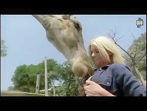 Riley Steele and the Giraffe: A Beastly Encounter
