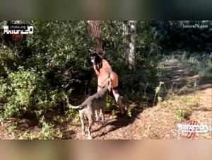 River flows deep: artofzoo, wild instinct and animal sex