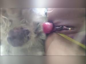 Rose bestiality: Hardcore animal sex