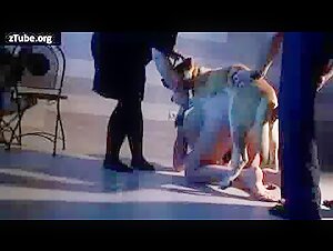 Russa Adicta en Varias Posicoes - Sex with Dog