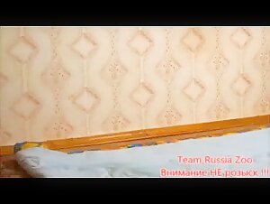 Russia: My dog   and the call for an escort service