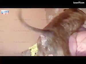 Russian Amateur - Sex with a Dog