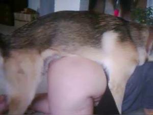 Russian Bestial Debauchery: Pure Breed