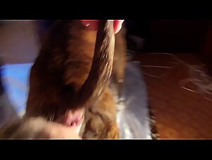 Russian Lovers: A Wild Union of Bestialitysex