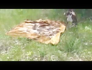 Russian Madame Georgette and Her Canine Companion