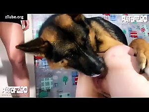 Russian sluts russian women fuck with russian dogs