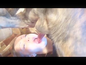 Russian Team - Canine Compilation #1