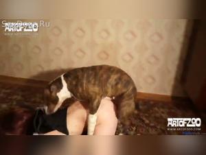 rustic fantasies: dogs and teenage girls