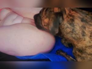 satisfy her animal desires, the big lady and her dog