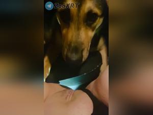 satisfy its animal impulses