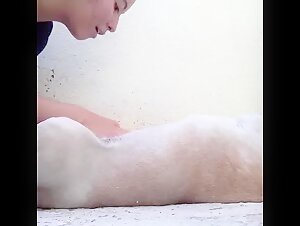 Savor a beastly experience: Sex with a dog