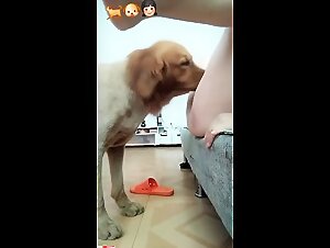 Secret life of women enzoofilia and French animal porn