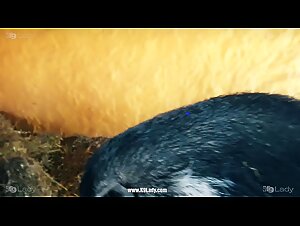 Selena Sensual Taste - K9Lady: An Exciting Zoophilia Experience