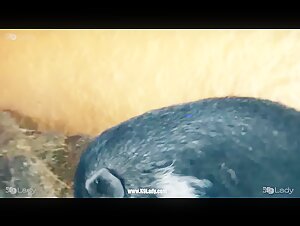 Selena - Taste the Forbidden - K9Lady