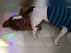 Sex and animals: dog sex disease revolutionizes eroticism