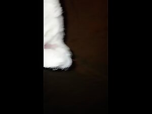 Sex with dog: We tried it for the first time!