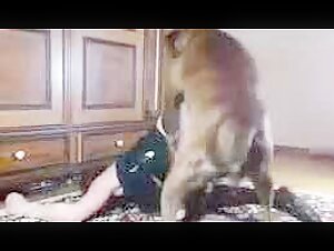 Sex with ripped stockings