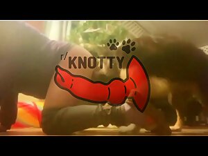 Sex with the dog is delicious