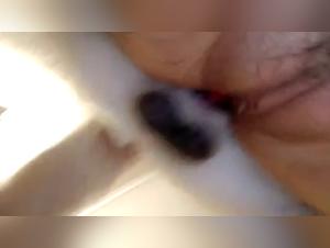 Sexo Bestiale - Forbidden Desires Revealed