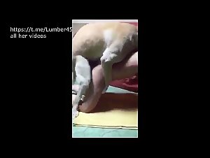 Sexo com animal bestiality tube