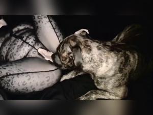 Sexploitation: uncontrollable animal fury