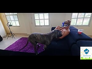 Sexy Bestiality - Animal Porn Videos