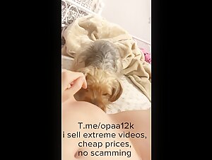 Sexy young woman getting licked by a small dog