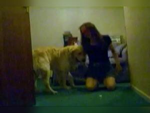 Shy Lark: Incandescent Reveals of a Canine Obsession