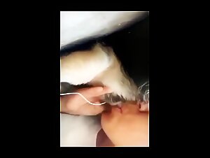 Slut gets fucked by dog   in the garden