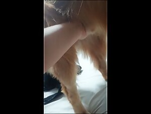 Slut gets fucked by her Rottweiler