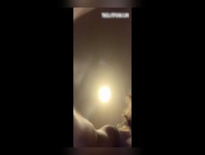 Slut sucks her dog Denise Frazier Nude - Coco Triple X