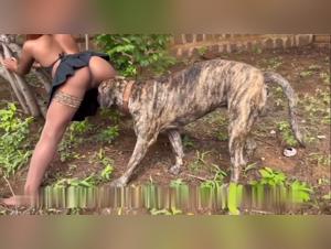 Slutty women in whores, bestiality