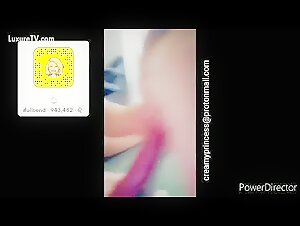 Snap 1: An unexpected encounter with a dog