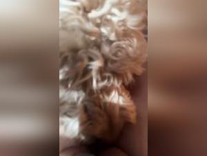 Solofan Beast: Canine gluttony, extreme sex