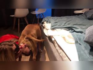 Sonya delights in her zoophilic festivities