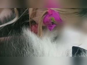 Soulless Desir Animal