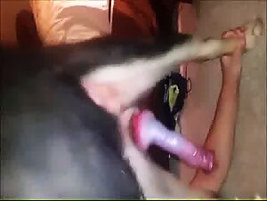 Southern Girl Submissive to a Dog