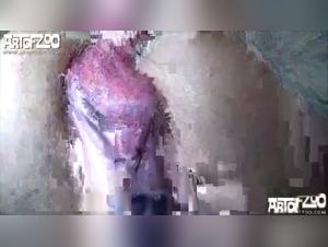 Squish 3: Animal Obsession Revealed